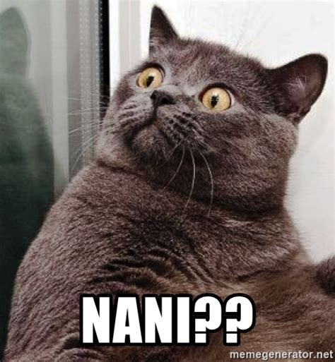 meme nani